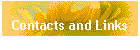 Contacts and Links