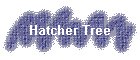 Hatcher Tree