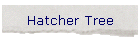 Hatcher Tree
