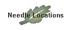 Needle Locations
